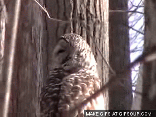 This is Game of Thrones, totally spinning my head.  Look how shocked I am.